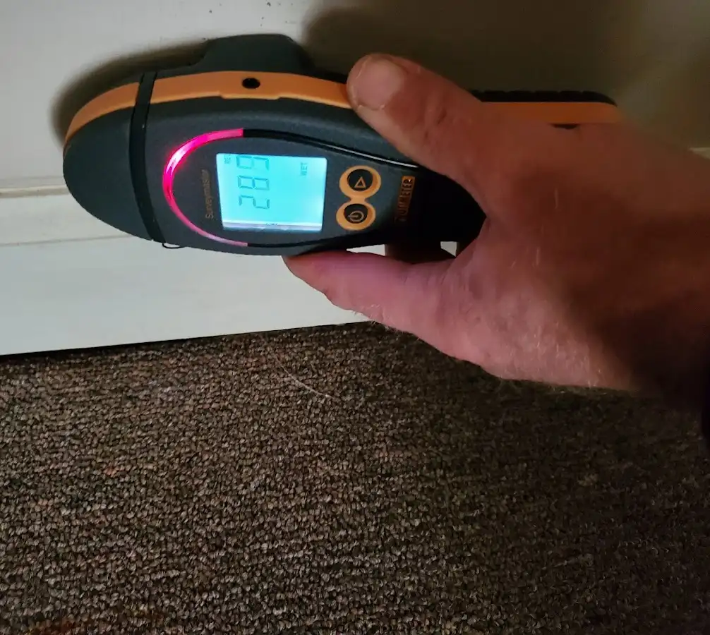 Moisture detection at baseboard during Mold Inspection & Testing in Cottonwood